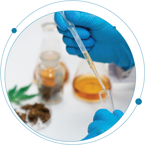 Overcome the growing pains of cannabis testing: 3 reasons to bring your testing in-house