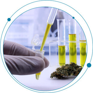 A beginner’s instrumentation guide to cannabis analysis