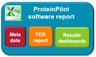 How do I use the new ProteinPilot software reports (small vs large)?