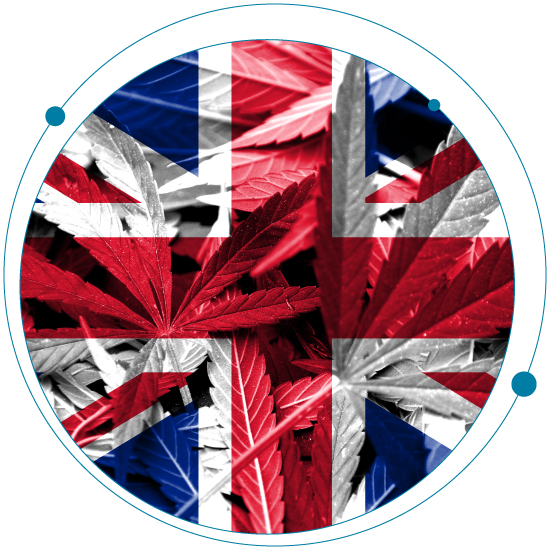 Cannabis legalization in the UK and the Cannabis Industry Council (CIC)
