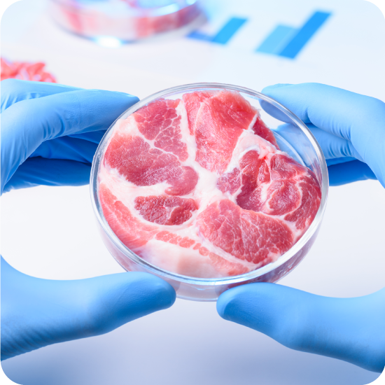 Mass spec data across the cultivated meat value chain